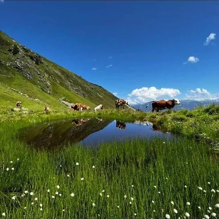 Apartment Zauberhaft *