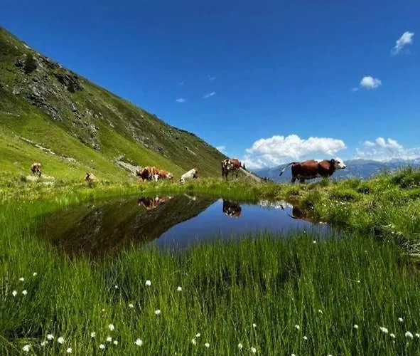 Apartmán Zauberhaft *