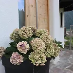 Apartament Zauberhaft